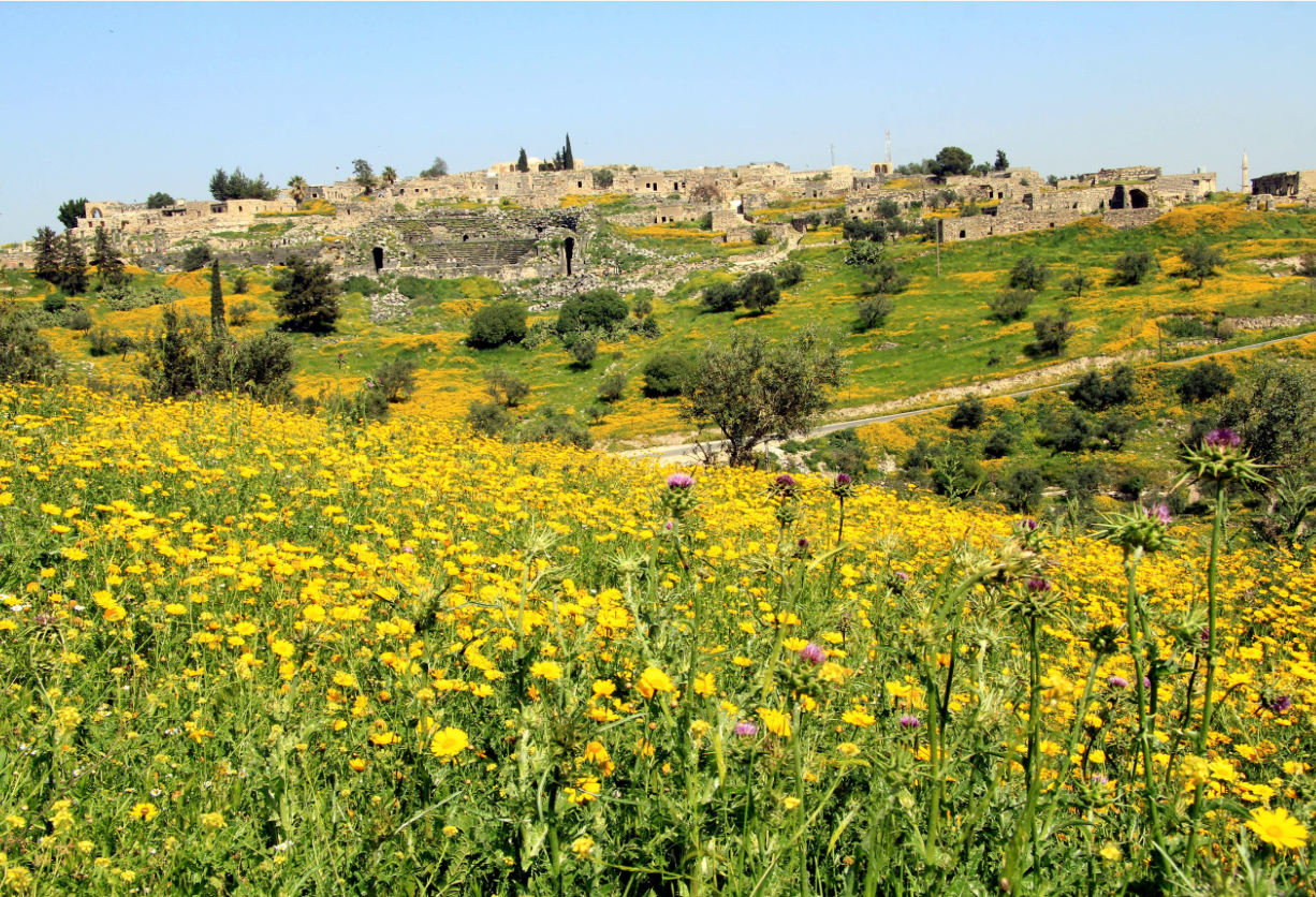 Best Time to Visit Jordan: Seasons, Weather, and Local Experiences ...